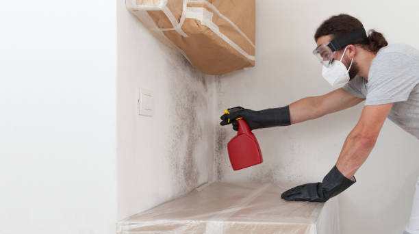Professional Attic Mold Remediation technician working in McQueeney, TX