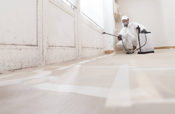 24/7 Emergency Attic Mold Remediation experts in McQueeney, TX